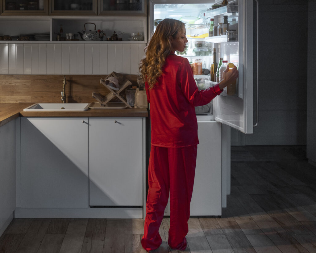 freezer services repair and installation